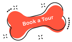 https://www.dogfitness.it/wp-content/uploads/2019/08/book_tour-1.png